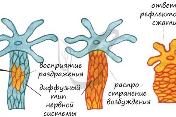 Кракен зайти