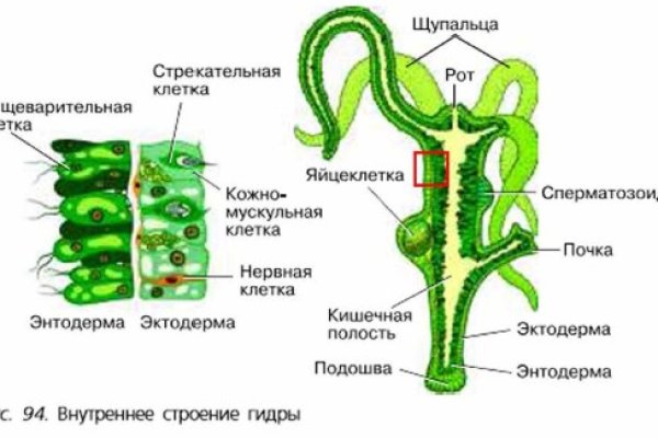 Переход на кракен