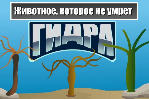 Пользователь не найден кракен даркнет