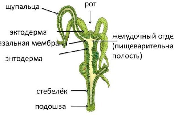 Украли аккаунт на кракене что делать